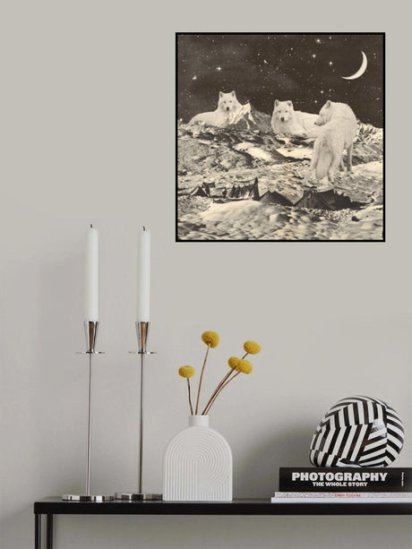 Giant White Wolves Poster och Canvastavla