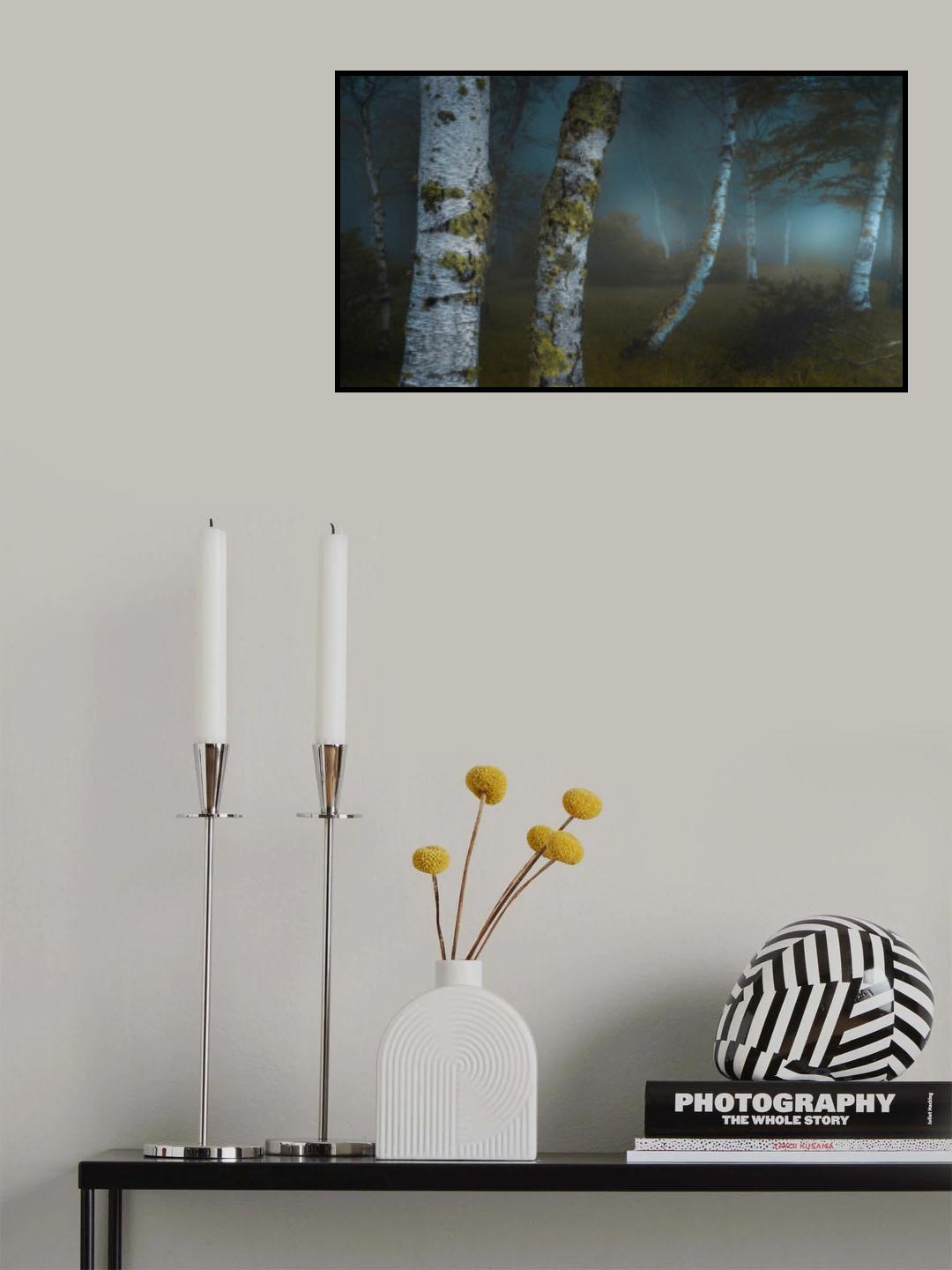 Mystery Forest Poster och Canvastavla
