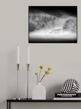 Morning Dance Poster och Canvastavla
