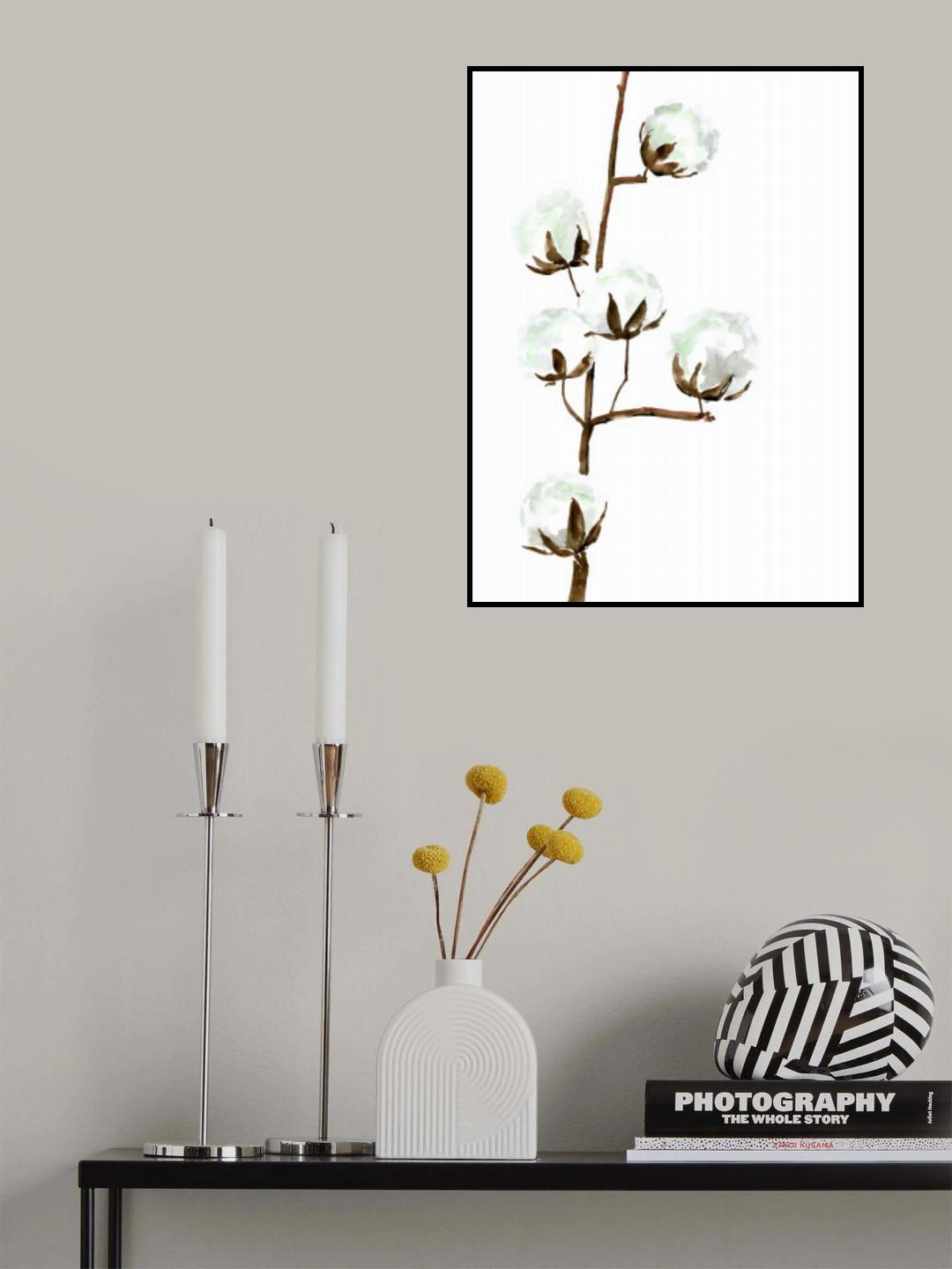 Watercolor cotton branch I Poster och Canvastavla
