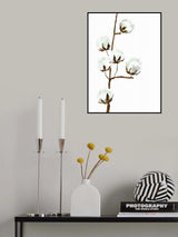 Watercolor cotton branch I Poster och Canvastavla