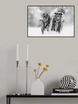 Dog Sleding Poster och Canvastavla