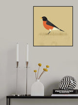 American Robin Poster och Canvastavla