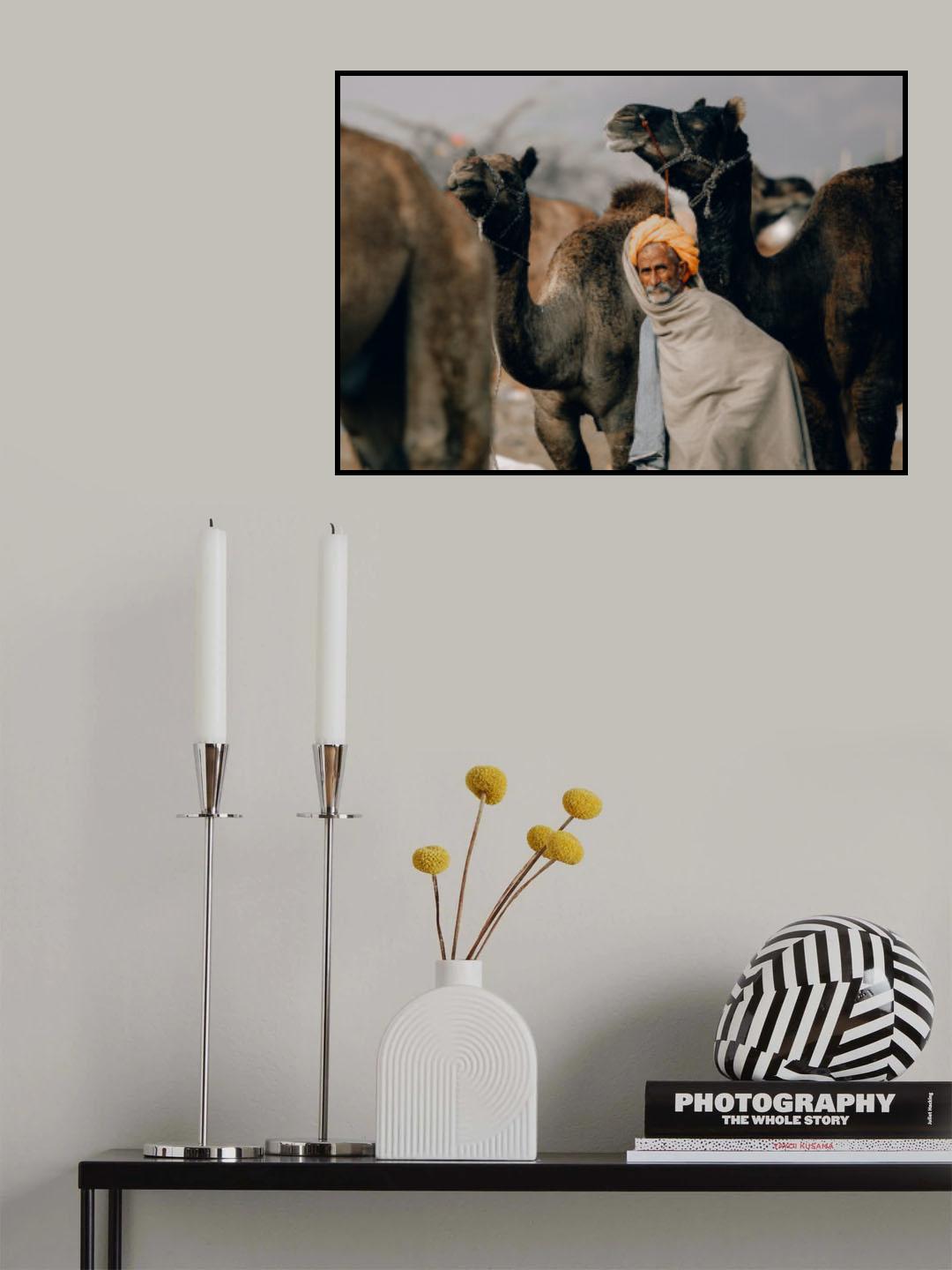 Pushkar streets Poster och Canvastavla