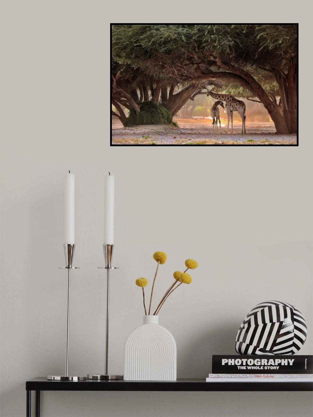 Giraffe - Namibia Poster och Canvastavla