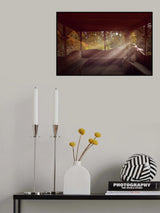 Peace of reading a book Poster och Canvastavla