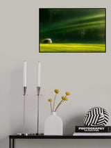 Spring time Poster och Canvastavla