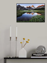 Poster och Canvastavla