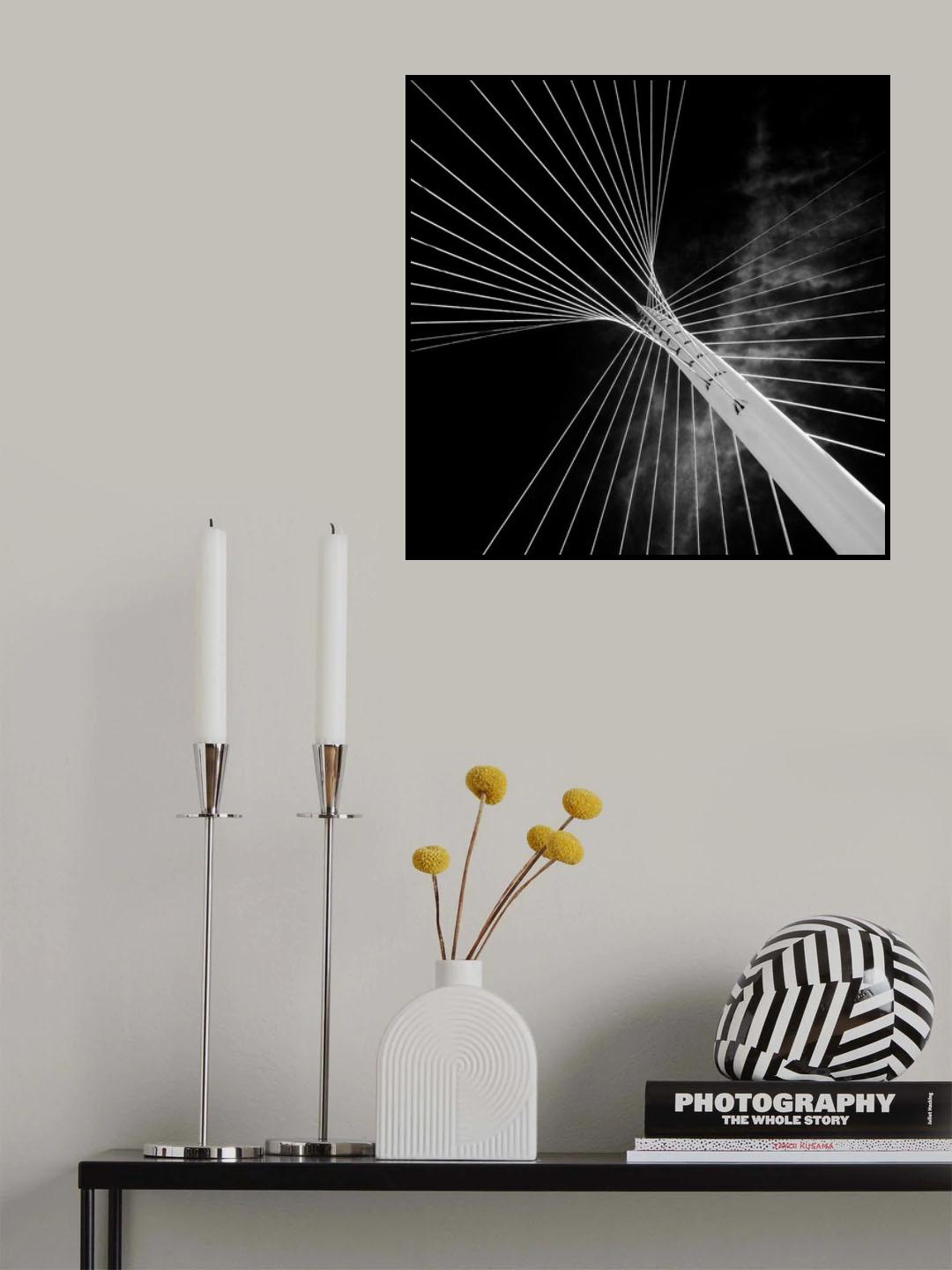 calatrava butterfly Poster och Canvastavla