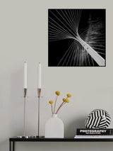 calatrava butterfly Poster och Canvastavla