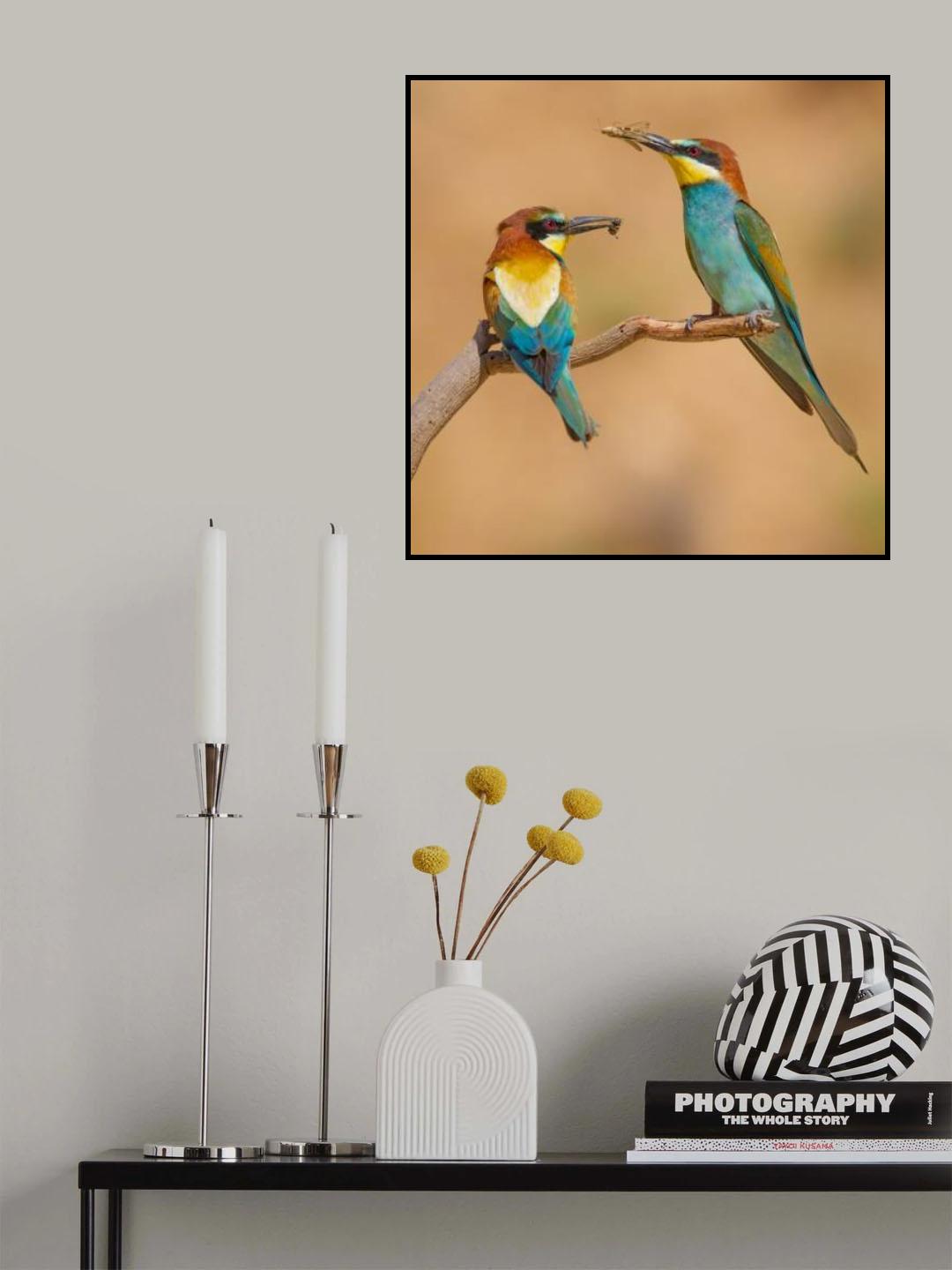 Bee-eaters Poster och Canvastavla