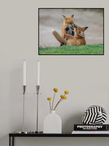 Playing with My Buddy (1) Poster och Canvastavla