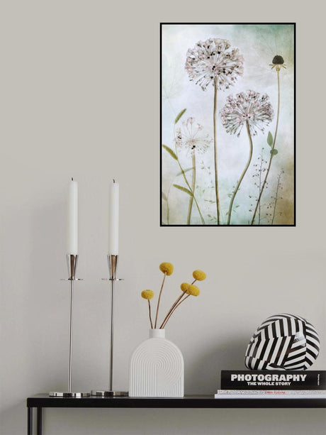 Allium Poster och Canvastavla