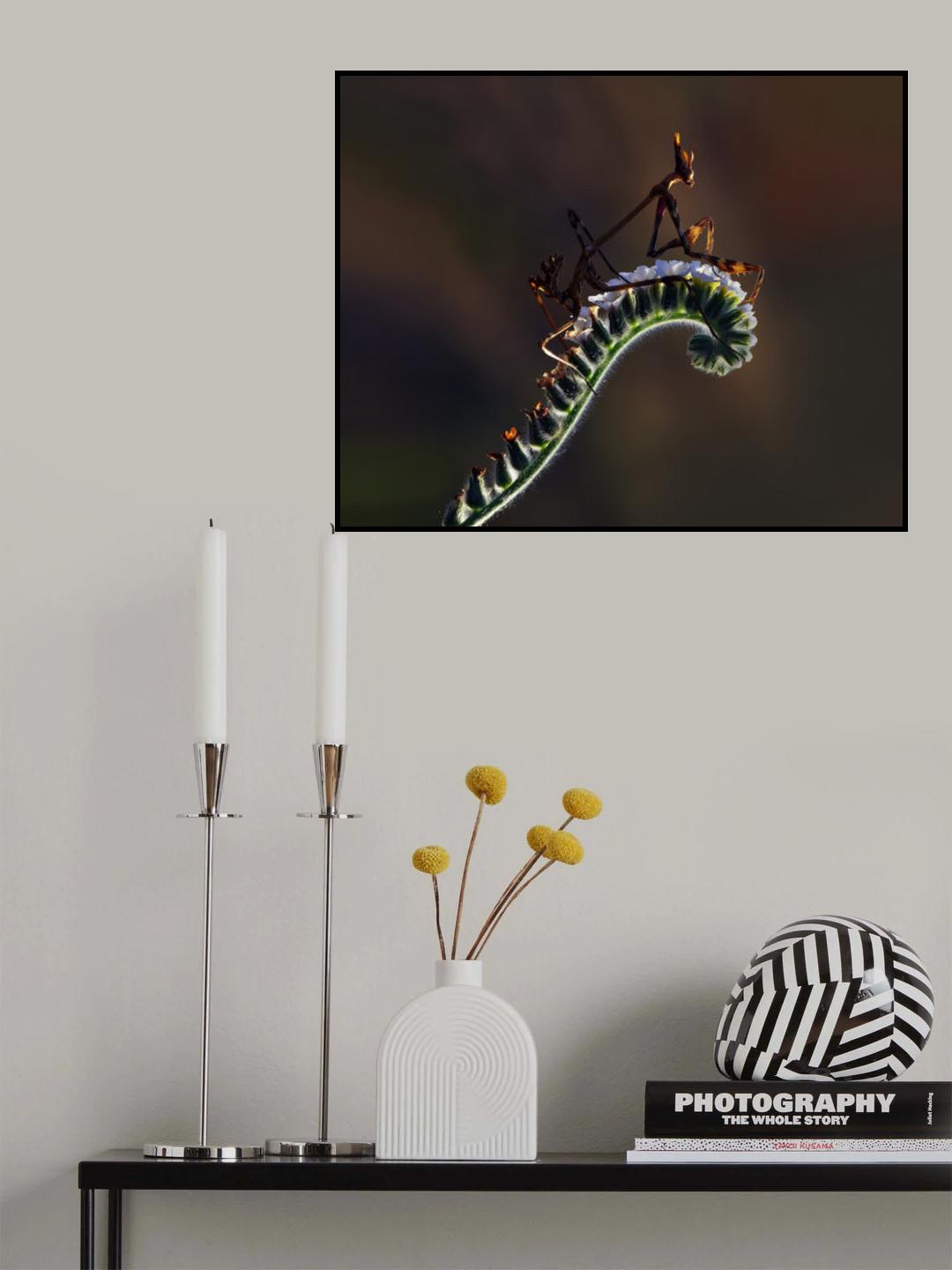 cavalry Poster och Canvastavla