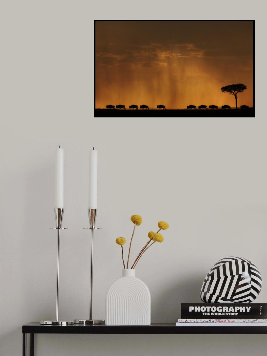 The Migration Poster och Canvastavla