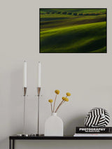 wheat sprouting Poster och Canvastavla