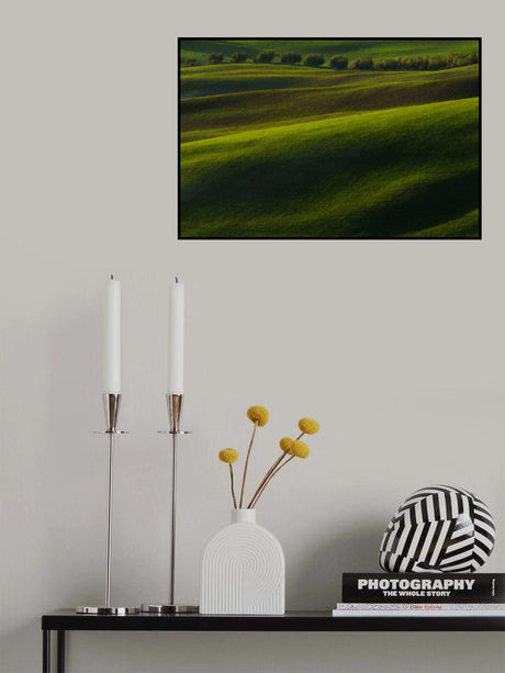wheat sprouting Poster och Canvastavla