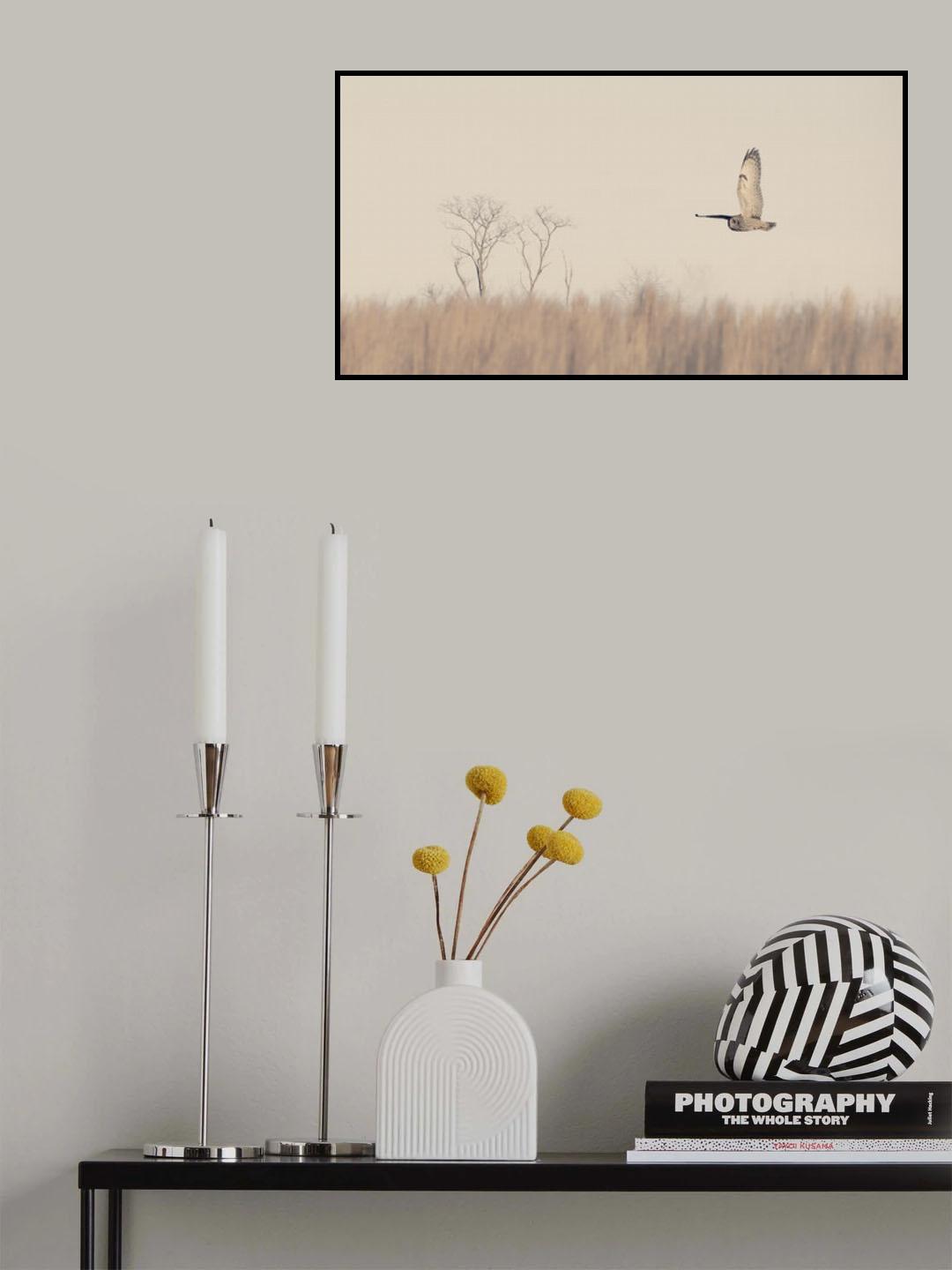 A cloudy day fly Poster och Canvastavla