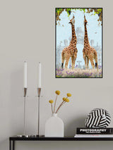Giraffes enjoying Grapes Poster och Canvastavla
