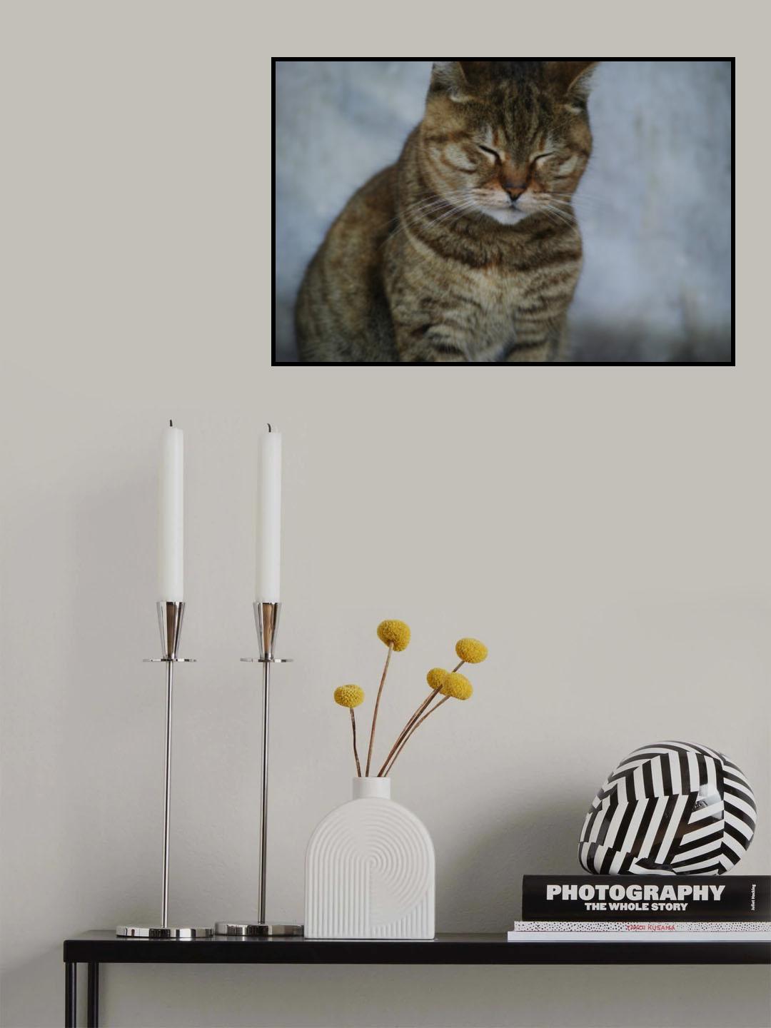 tabby cat Poster och Canvastavla