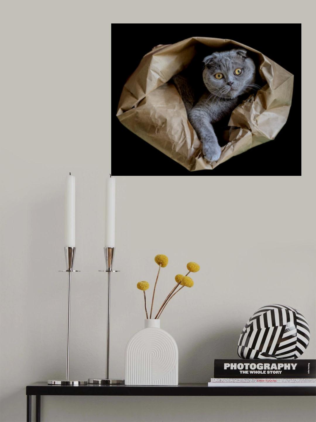 Romeo Poster och Canvastavla
