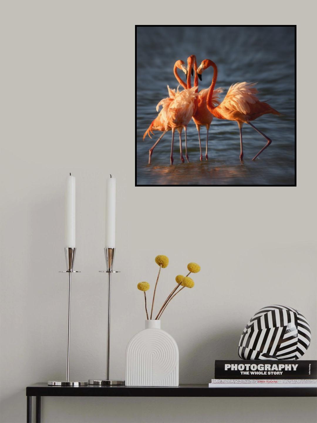 Four pink tutu dancers Poster och Canvastavla
