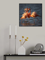 Four pink tutu dancers Poster och Canvastavla