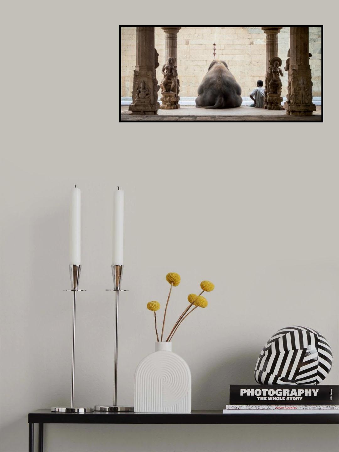 The Elephant &amp; its Mahot Poster och Canvastavla