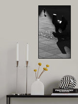 Poster och Canvastavla