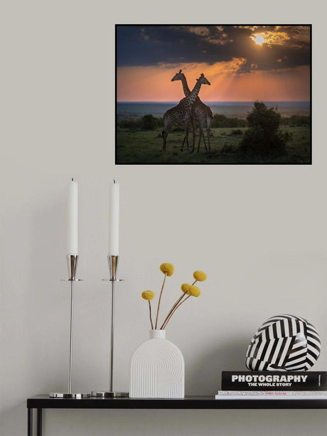 Backlighting at the dusk Poster och Canvastavla