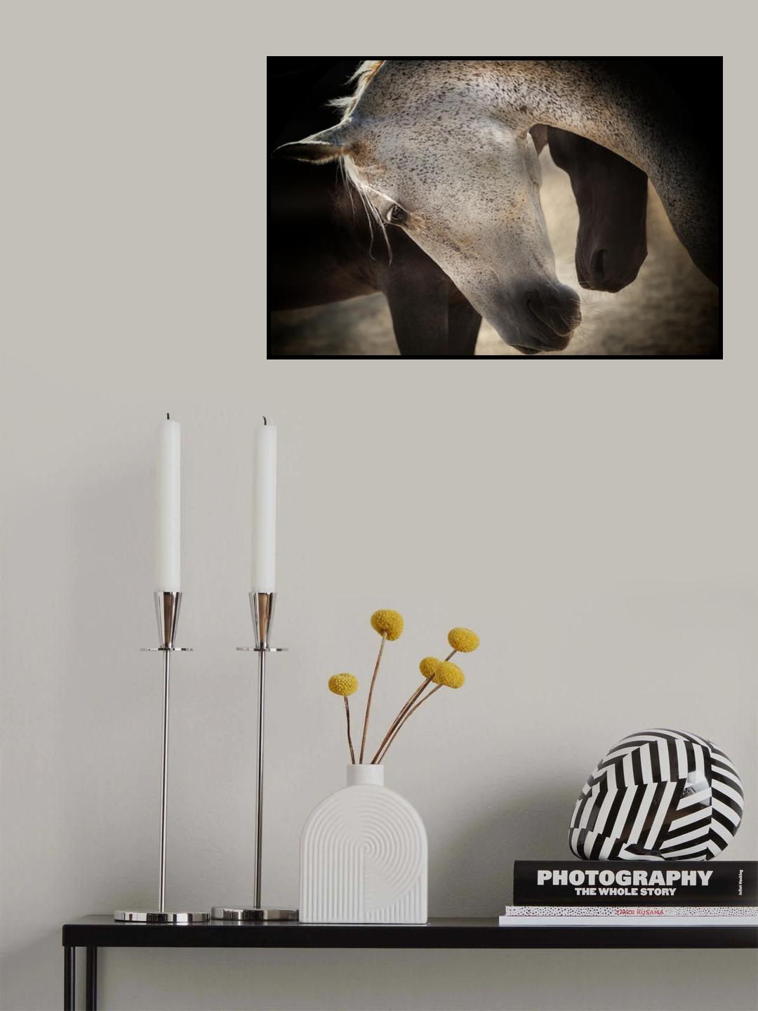 TENDERNESS Poster och Canvastavla