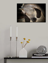 TENDERNESS Poster och Canvastavla