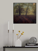A Strange Day... Poster och Canvastavla