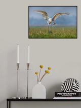Got you! Poster och Canvastavla