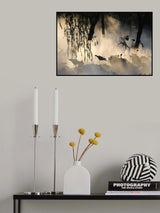 Park Poster och Canvastavla