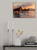 WATER HORSES Poster och Canvastavla