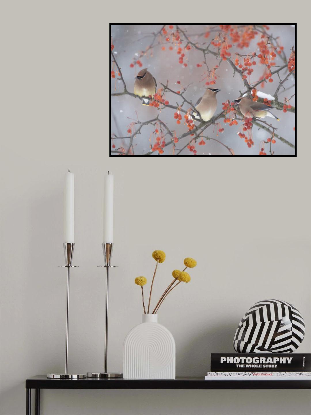Snow, Bird and Tree Poster och Canvastavla