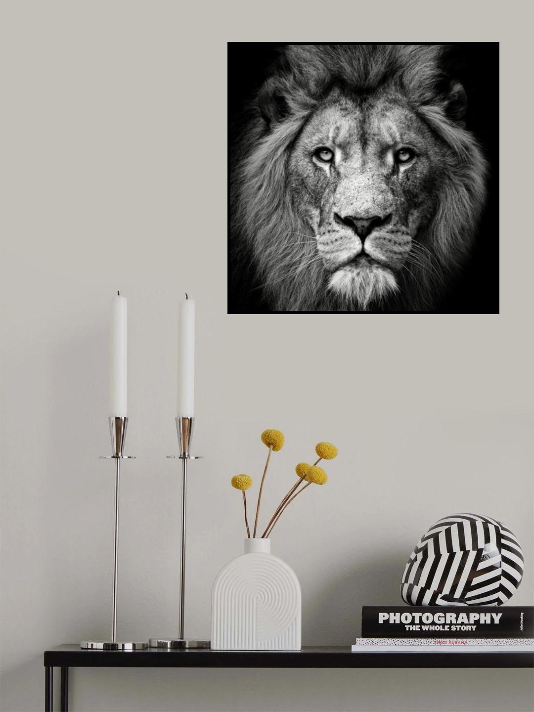 Stare Me Down #3 Poster och Canvastavla