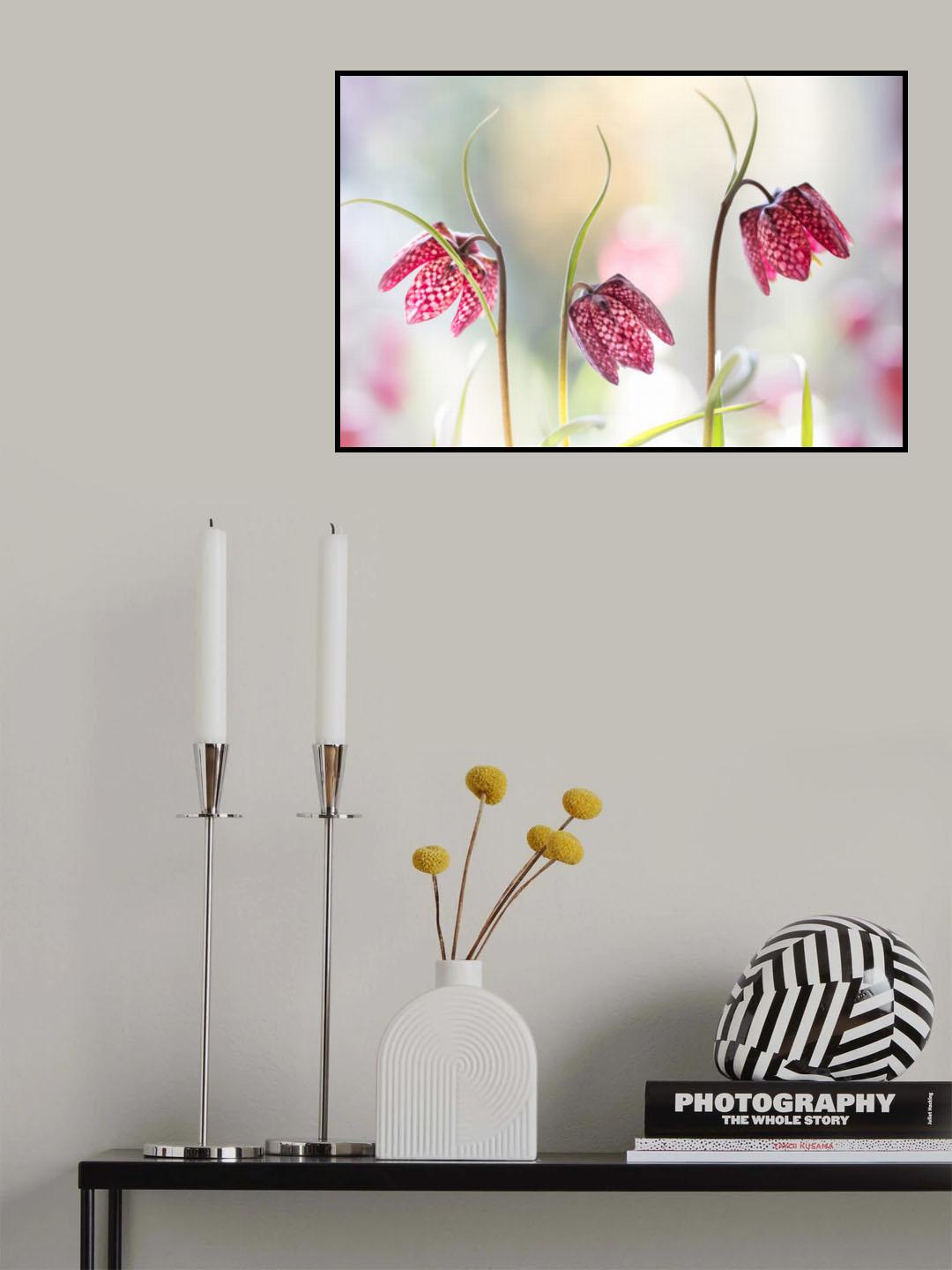 Snakes head Fritillary Poster och Canvastavla