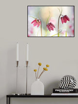 Snakes head Fritillary Poster och Canvastavla