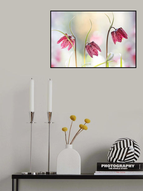 Snakes head Fritillary Poster och Canvastavla