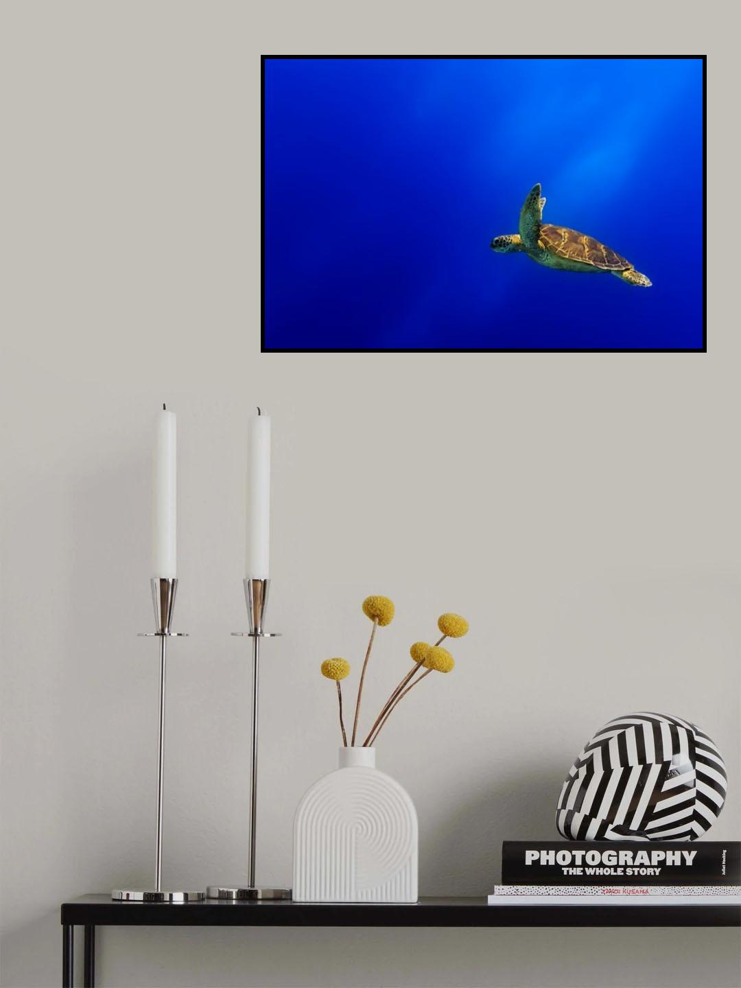Flying Poster och Canvastavla
