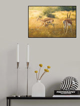 The Family Poster och Canvastavla