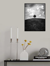 Lonely tree BW Poster och Canvastavla