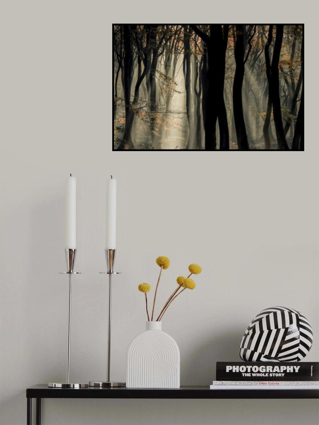 Speulderbos Poster och Canvastavla