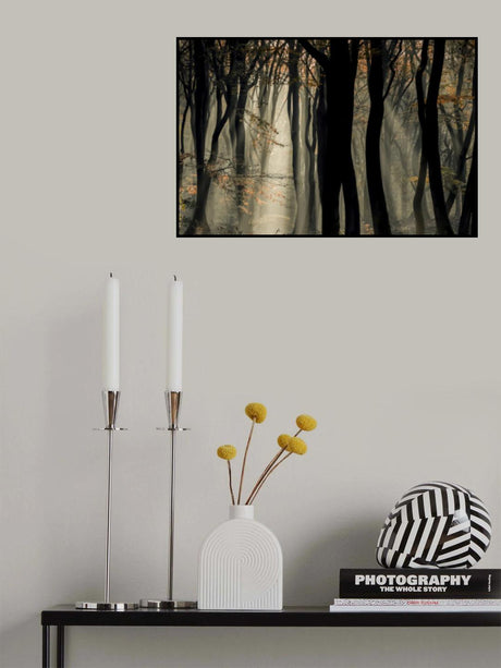 Speulderbos Poster och Canvastavla