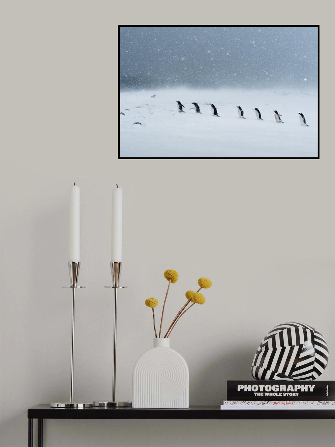 Walking in snowing Poster och Canvastavla