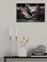 JUST WE TWO ... Poster och Canvastavla