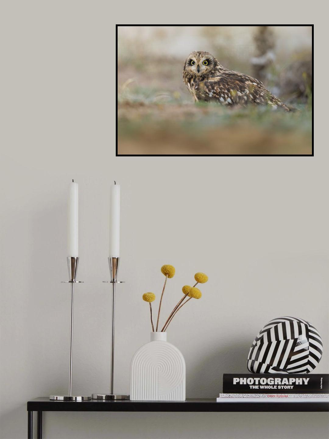 Poster och Canvastavla