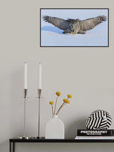 Hunting in The Morning Poster och Canvastavla